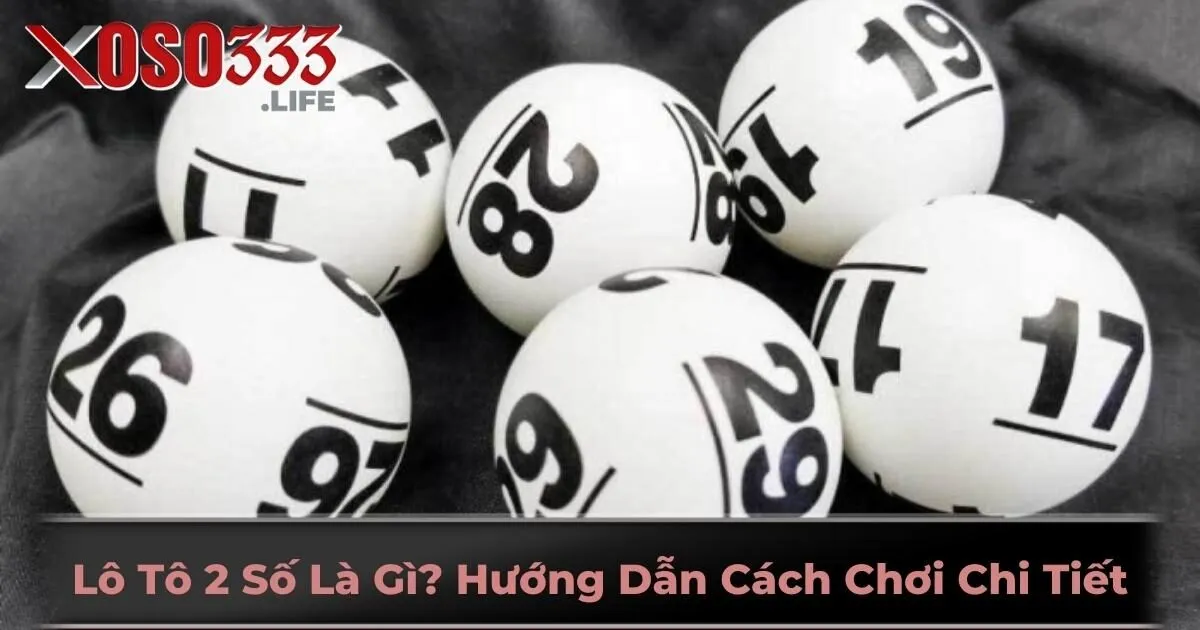 Lô Tô 2 Số Là Gì? Hướng Dẫn Cách Chơi Chi Tiết Tại Xoso333