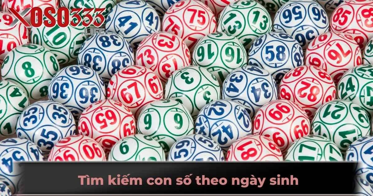 Tìm kiếm con số theo ngày sinh